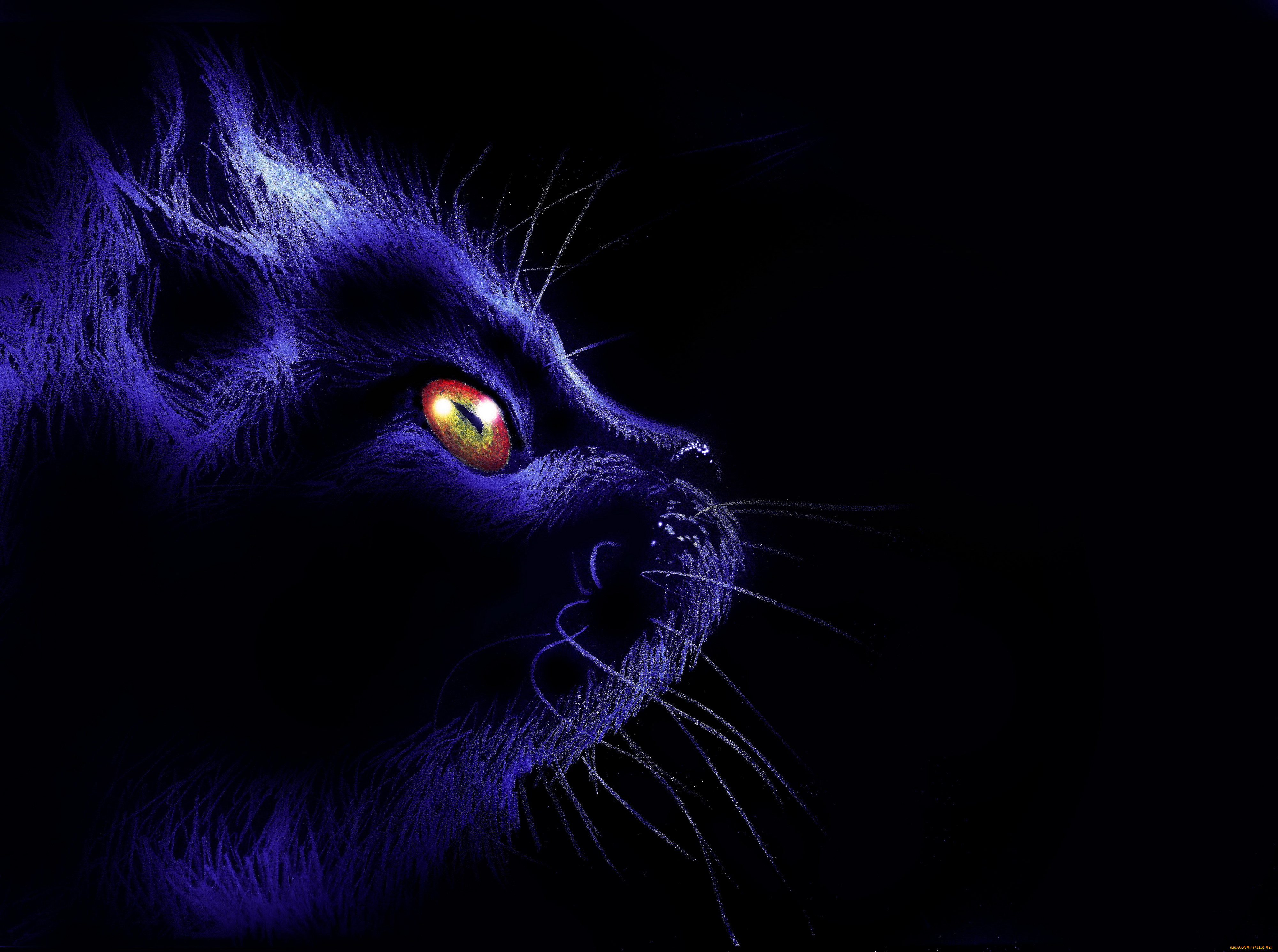 Черная кошка неоновый фон
